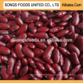 Long Dark Red Kidney Beans